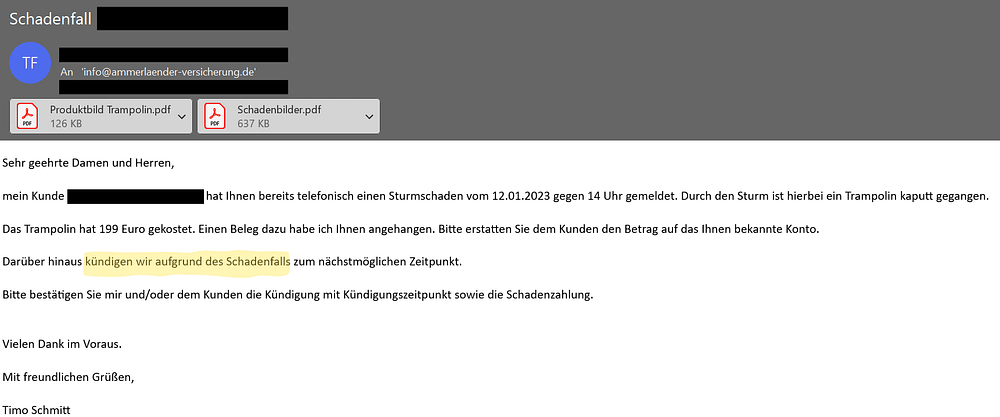 Screenshot Schadenfall